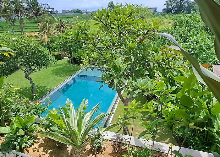 Nesara Hotel 5*