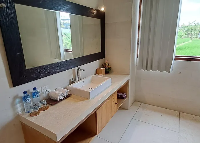 Nesara Hotel 5*